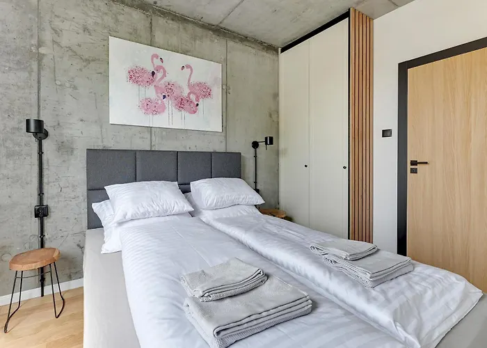 T8- Tetmajera غدينيا